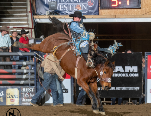 Join CRMCA for a Night at the Rodeo!